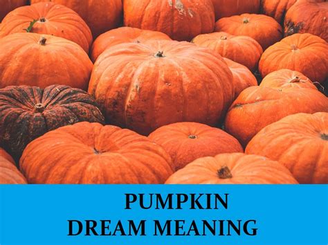 pumpkin-dream-meaning-top-12-dreams-about-pumpkins image