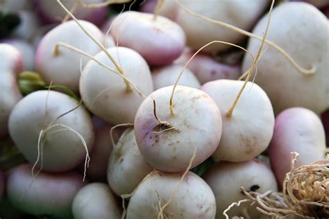 eight-ways-to-cook-turnips-harvest-to-table image