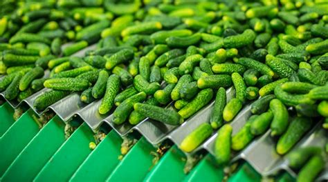 gherkins-khne-made-with-love image