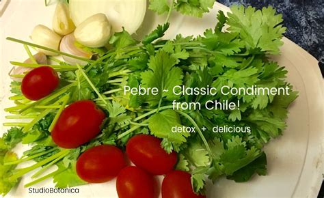 pebre-cilantro-stars-in-chilean-classic-recipe-studio image
