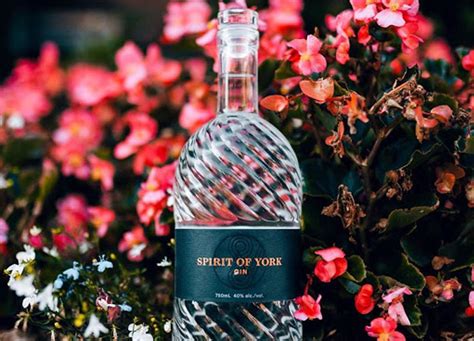 gin-and-tonic-food-pairings-you-will-love-spirit-of-york image