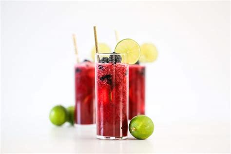 blackberry-limeade-recipe-salty-canary image