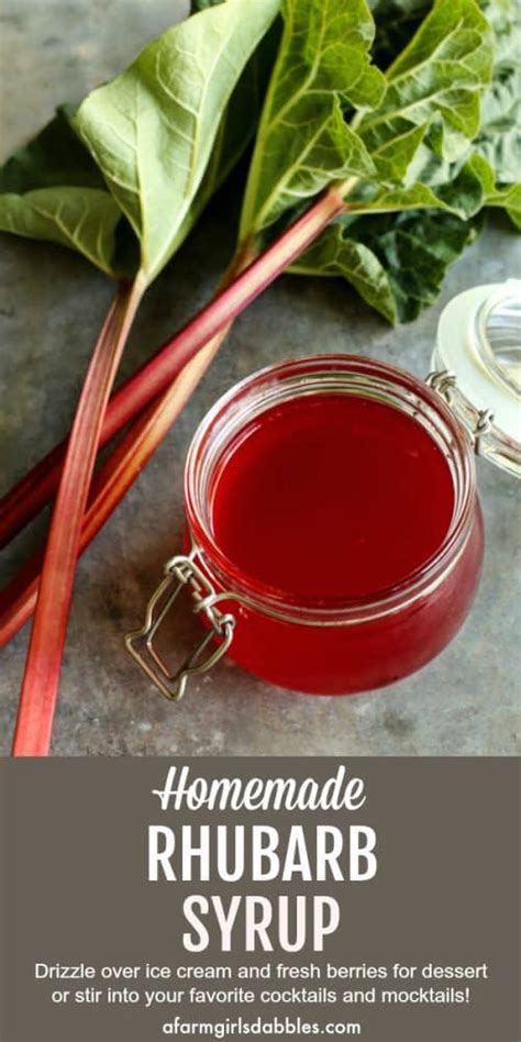 easy-rhubarb-syrup-recipe-a-farmgirls-dabbles image