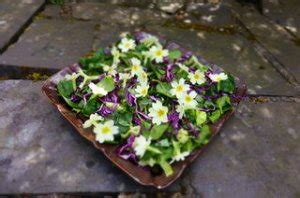 foragers-salad-primrose-sorrel-and-dandelion-leaves image