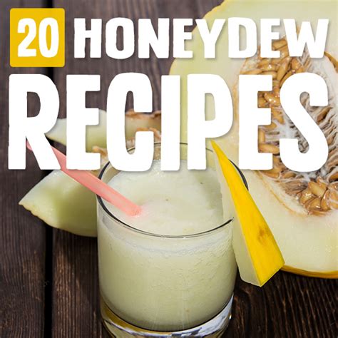 20-tasty-honeydew-recipes-paleo-grubs image