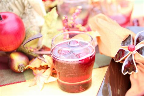 sparkling-spiced-cranberry-punch-with-cranberry-ice image