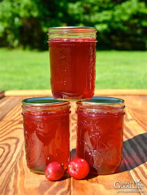 homemade-crabapple-jelly-with-no-added-pectin image