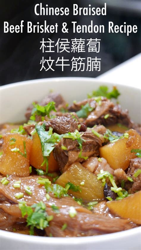 chinese-braised-beef-brisket-tendon-recipe-柱侯蘿蔔炆 image