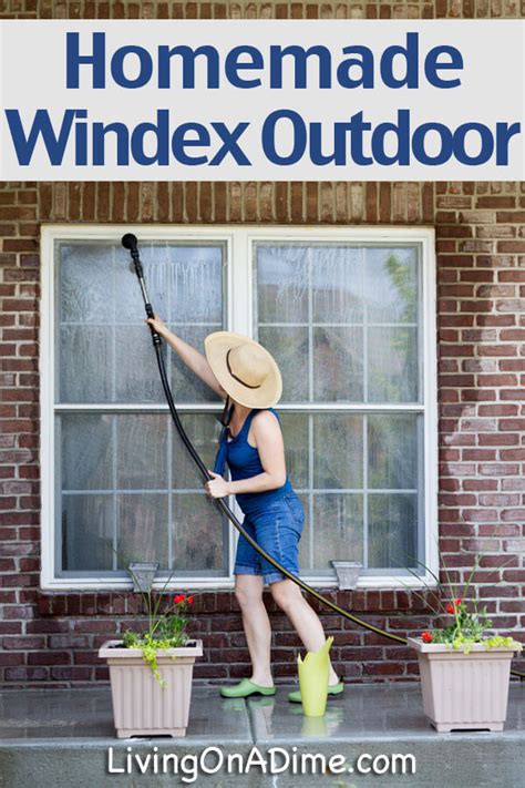 homemade-outdoor-window-washer-recipe-living image
