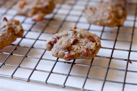 apple-cinnamon-chip-cookies-5-minutes-for-mom image