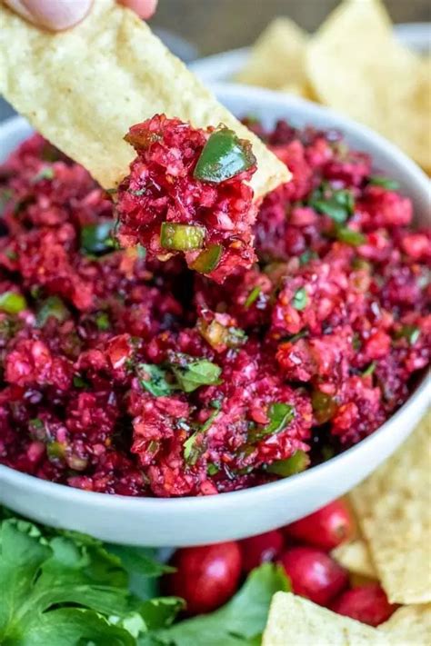fresh-cranberry-salsa-recipe-home-made-interest image