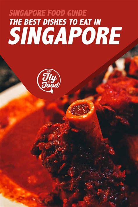 singapore-food-35-of-the-best-tasting-dishes-will-fly image