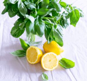 lemon-herb-vinaigrette-just-6-ingredients-3-minutes image