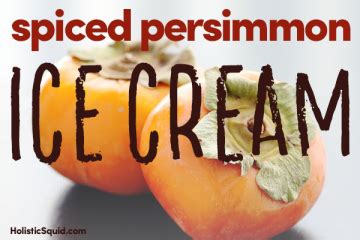 spiced-persimmon-ice-cream-holistic-squid image