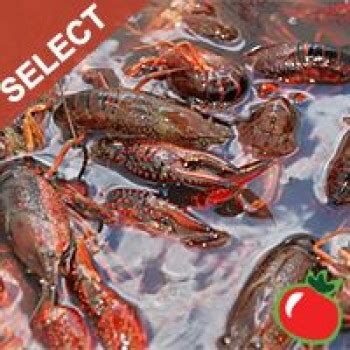 live-crawfish-washed-select-w-seasoning-cajuncom image