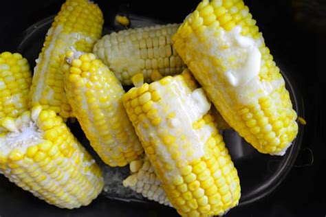 slow-cooker-corn-on-the-cob-recipe-food-fanatic image