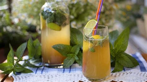chamomile-vodka-cooler-recipe-ndtv-food image