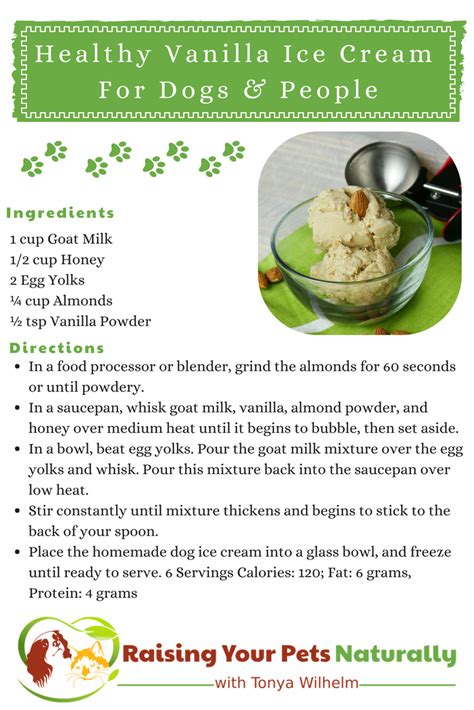 healthy-vanilla-dog-ice-cream-recipe-you-can-share image