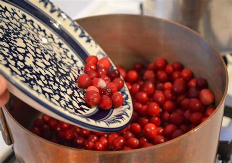 cranberry-sauce-with-apples-pears-yvonne-maffei image