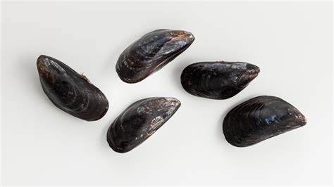 these-are-the-only-mussels-you-should-buy-bon-apptit image