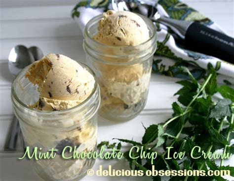 mint-chocolate-chip-ice-cream-recipe-dairy-and-non image