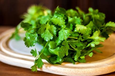 how-to-use-fresh-cilantro-livestrong image