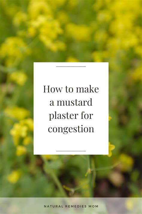how-to-make-a-mustard-plaster-for-congestion image