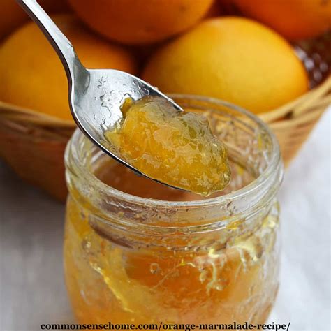 orange-marmalade-recipe-quick-cooking-low-sugar image