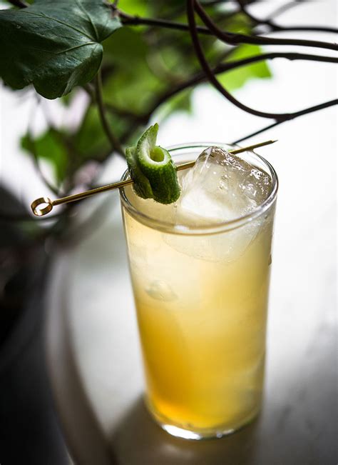 airmail-cocktail-recipe-punch image
