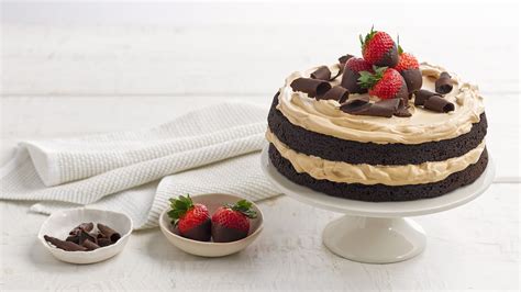 european-mocha-fudge-cake-recipe-hersheyland image