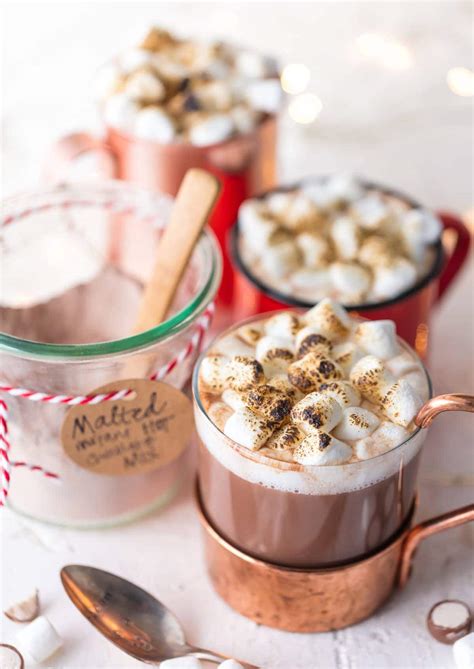 malted-homemade-hot-chocolate-mix-recipe-the image