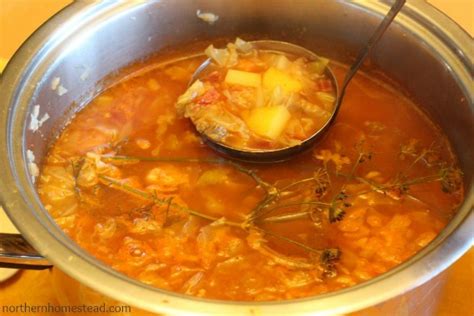 cabbage-borscht-soup-vegan-northern-homestead image