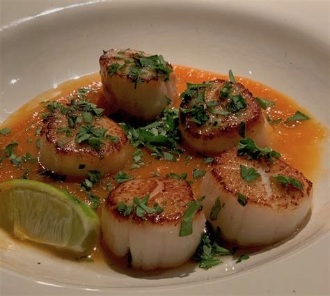 seared-scallops-in-spicy-carrot-coulis-myvancity image