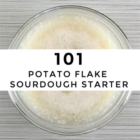101-learn-about-potato-flake-sourdough-starters image
