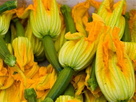 what-do-i-do-with-zucchini-blossoms-fn-dish-food image
