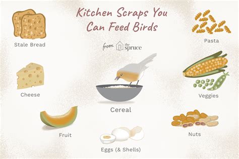 what-kitchen-scraps-can-birds-eat-the-spruce image