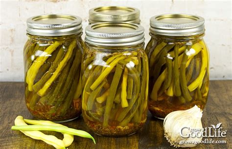 good-old-fashioned-pickled-dilly-beans-grow-a-good image