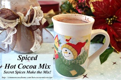 spiced-hot-cocoa-mix-recipe-secret-spices-make-the image