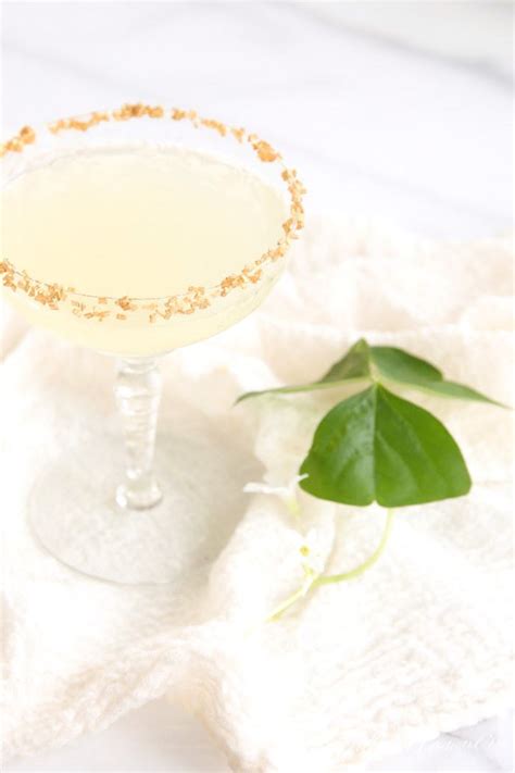refreshing-sparkling-lemonade-recipe-julie-blanner image