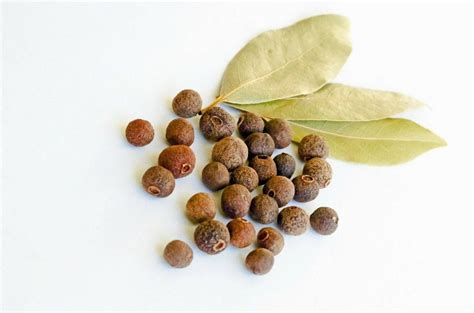 10-best-allspice-substitute-options-you-might-already image