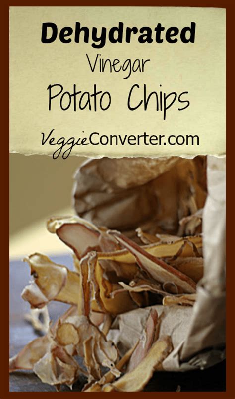 dehydrated-and-delicious-vinegar-potato-chips image