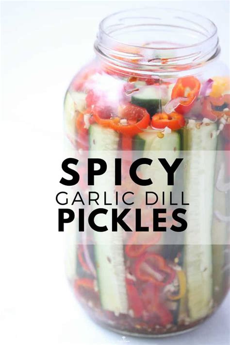 homemade-spicy-garlic-dill-pickles-zested-lemon image