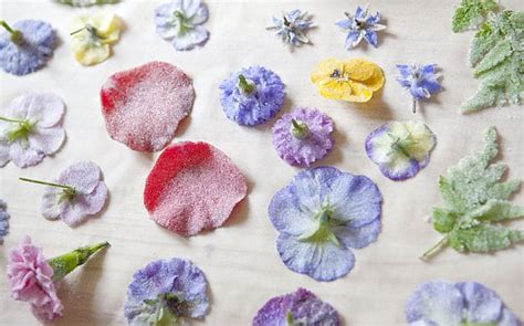 how-to-crystallise-flowers-like-the-victorians-the image