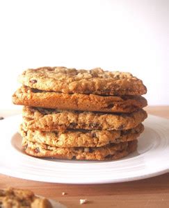 carob-chip-cookies-sundaysupper-pies-and-plots image