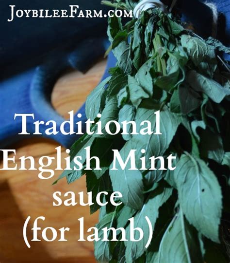 traditional-english-mint-sauce-for-lamb-joybilee-farm image