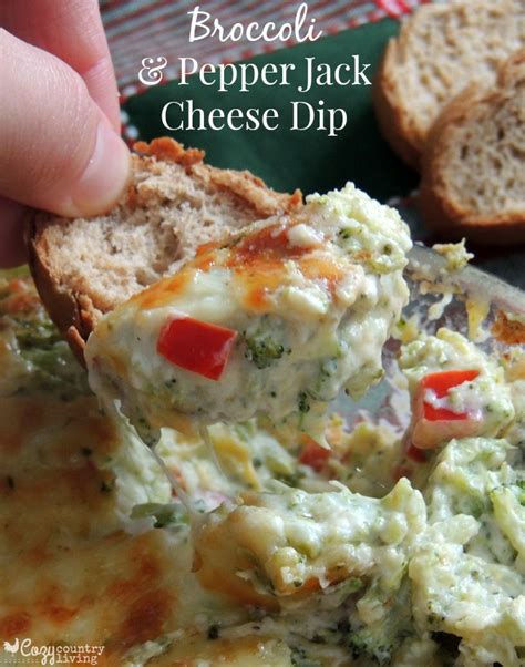 broccoli-pepper-jack-cheese-dip-cozy-country-living image