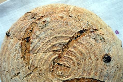 fennel-seed-bread-recipe-the-bread-she-bakes image