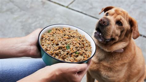 easy-dog-food-recipe-with-chicken-petplate image