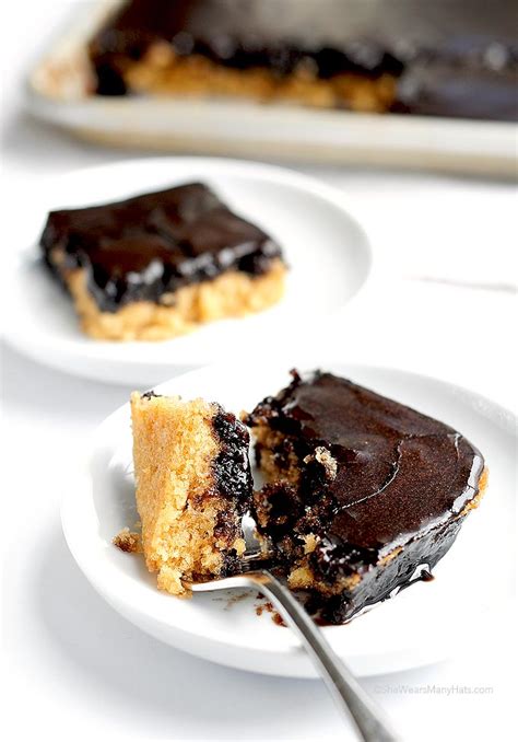 peanut-butter-cake-with-dark-chocolate-icing image