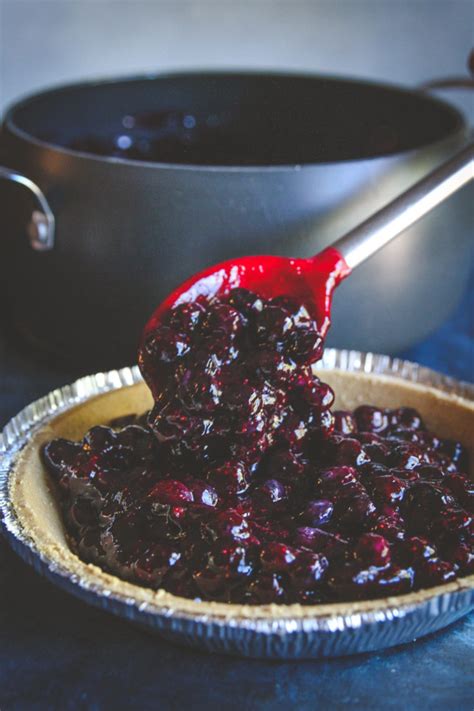 5-ingredient-blueberry-pie-with-graham-cracker-crust image